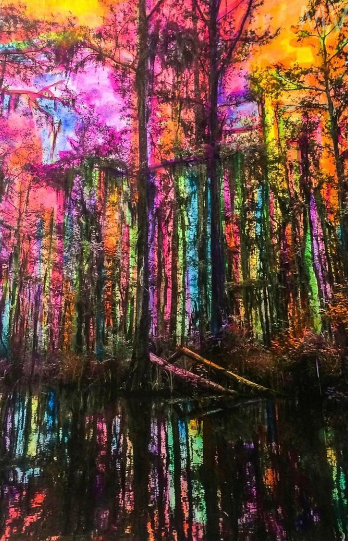 Pantano de Louisiana / Louisiana Swamp Art Print